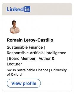 Romain <b>LEROY-CASTILLO